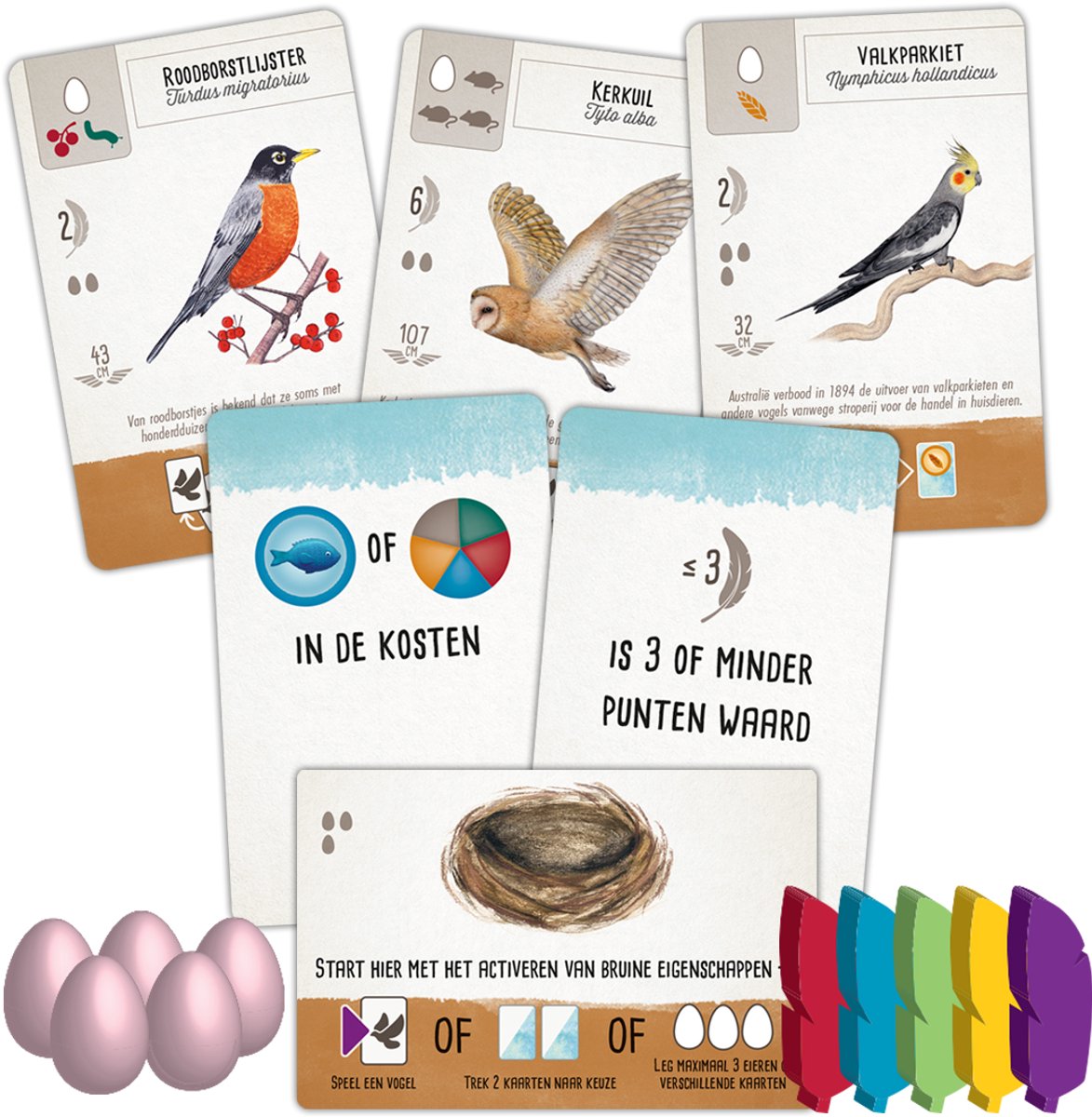 Wingspan Pocket kaarten detail - compact kaartspel voor 1-5 spelers
