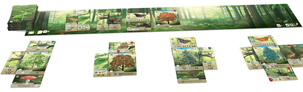 Forest Shuffle - Kaartspel (NL)