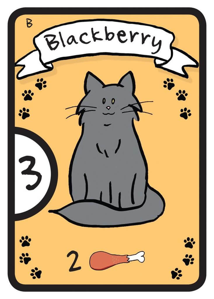 Cat Lady - Kaartspel (EN)