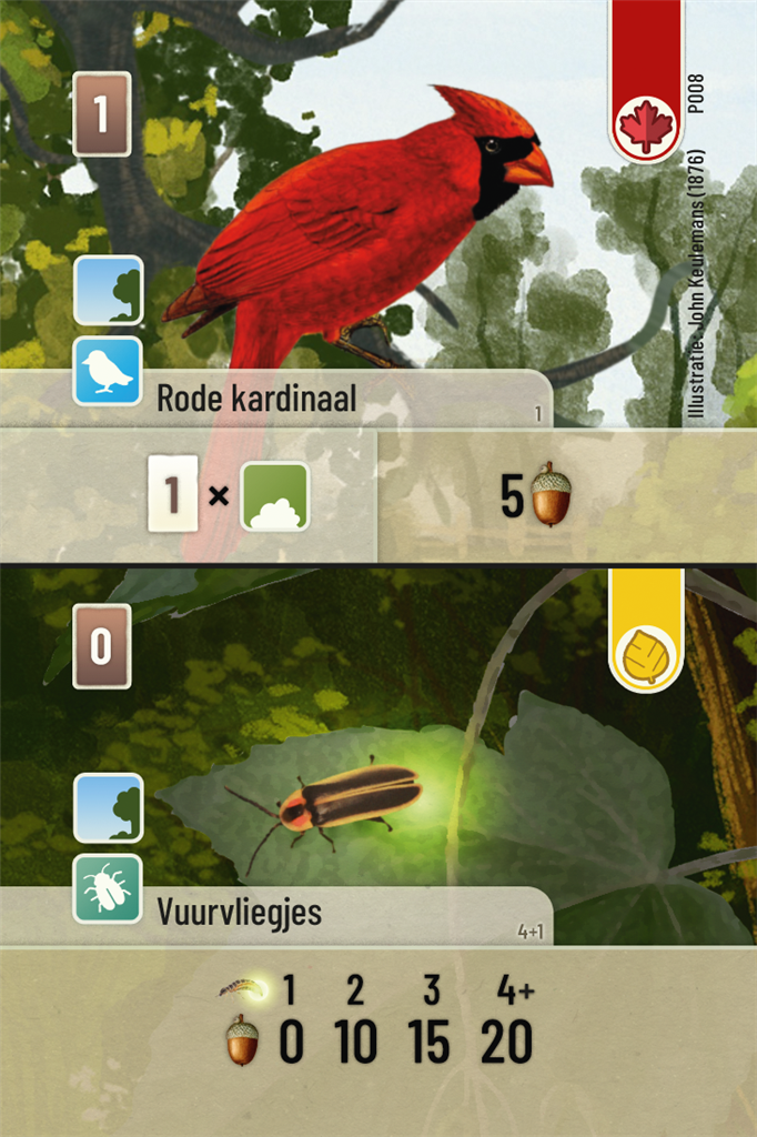 Forest Shuffle Exploration - Uitbreiding (NL)